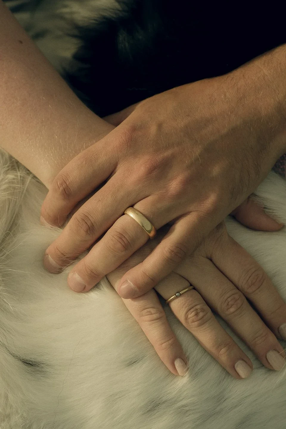 Two hands with wedding rings resting on fur